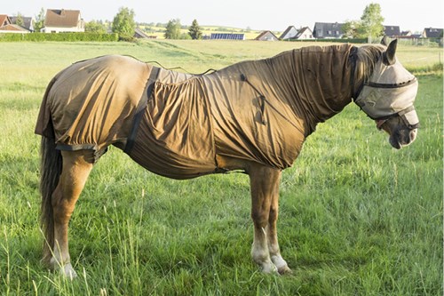 full body fly rugs protect from midges