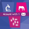 Image of Equine 4Count Pack with 1 x Return Envelope