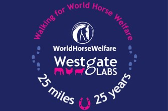 Walking for World Horse Welfare