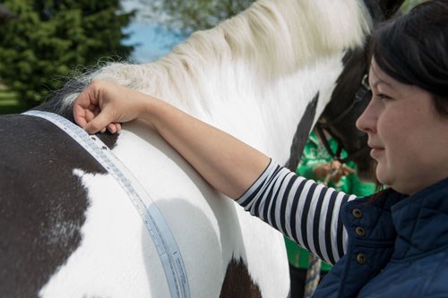 Do You Know How Much Your Horse Weighs?