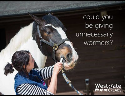 Could you be giving unnecessary wormers?