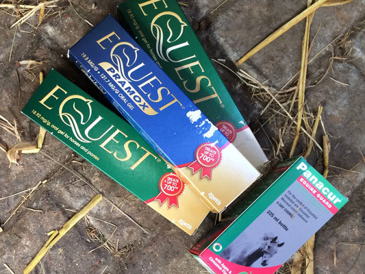 Encsyted Redworm Treatment Options