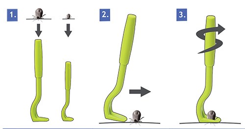 Removing a tick with the O'TOM TICK TWISTER