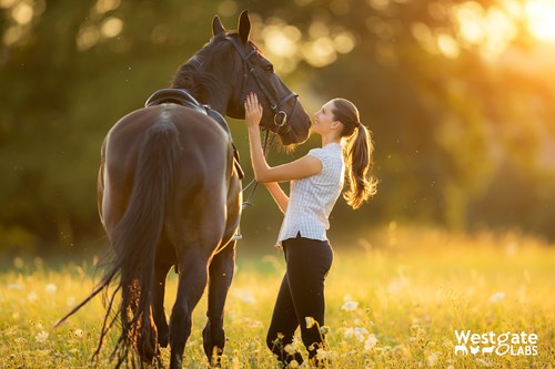 All season's peace of mind for parasite control