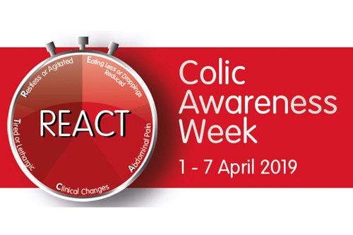 REACT Now to Beat Colic