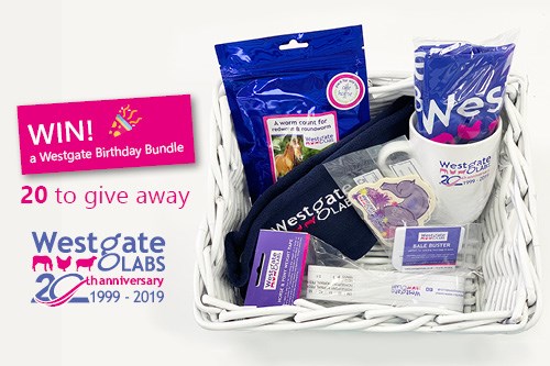 WIN a Westgate prize bundle