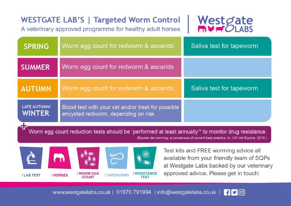 Horse Worming Chart