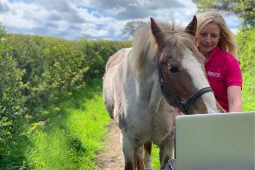 Free interactive training course for horse owners