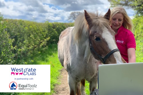 Claire and Teddy from Westgate Labs study the online course