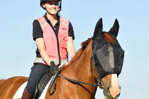 Fly masks for riding in