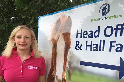 Join World Horse Welfare and Westgate Labs for a Free Worming Webinar 