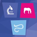 Image of Tapeworm Kit
