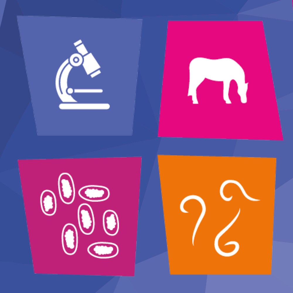 Horse Worm Count Kit & Pinworm Kit | Westgate Labs