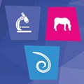 Image of Equine Lungworm Test Kit