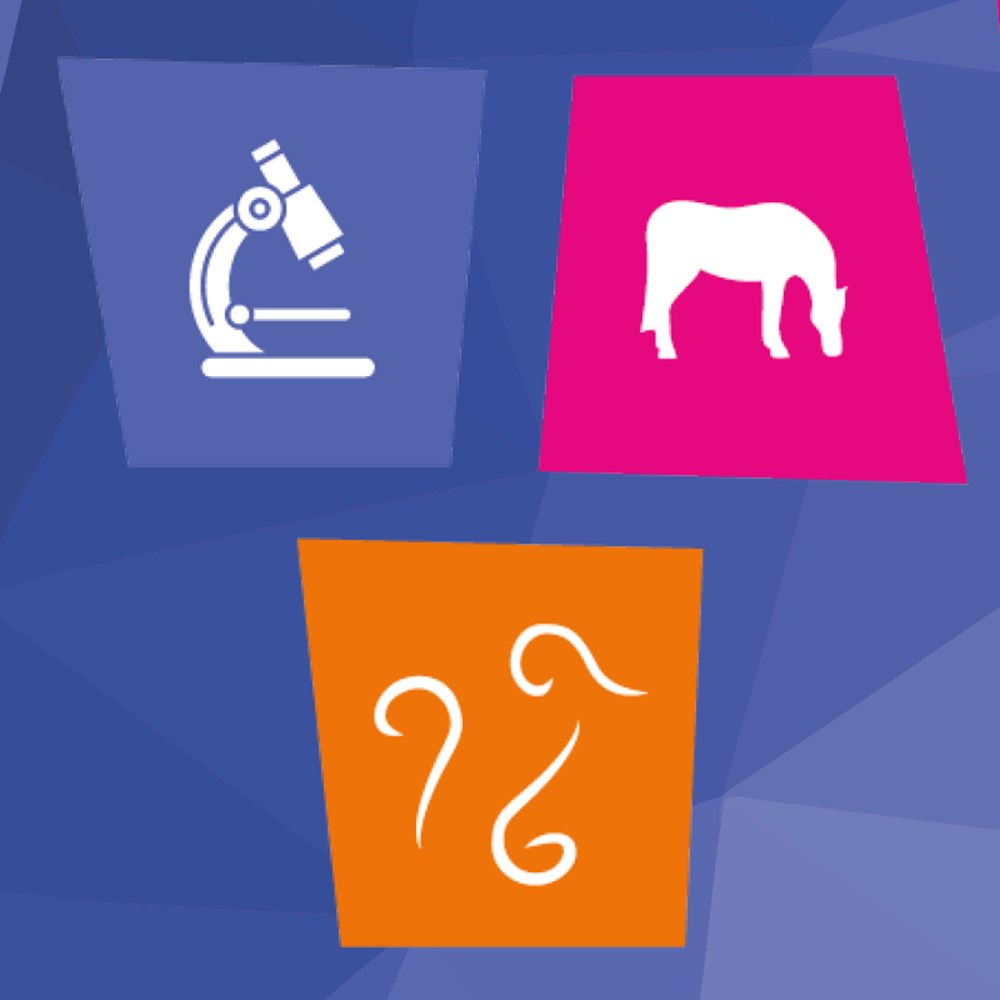 Image of Equine Pinworm Test Kit