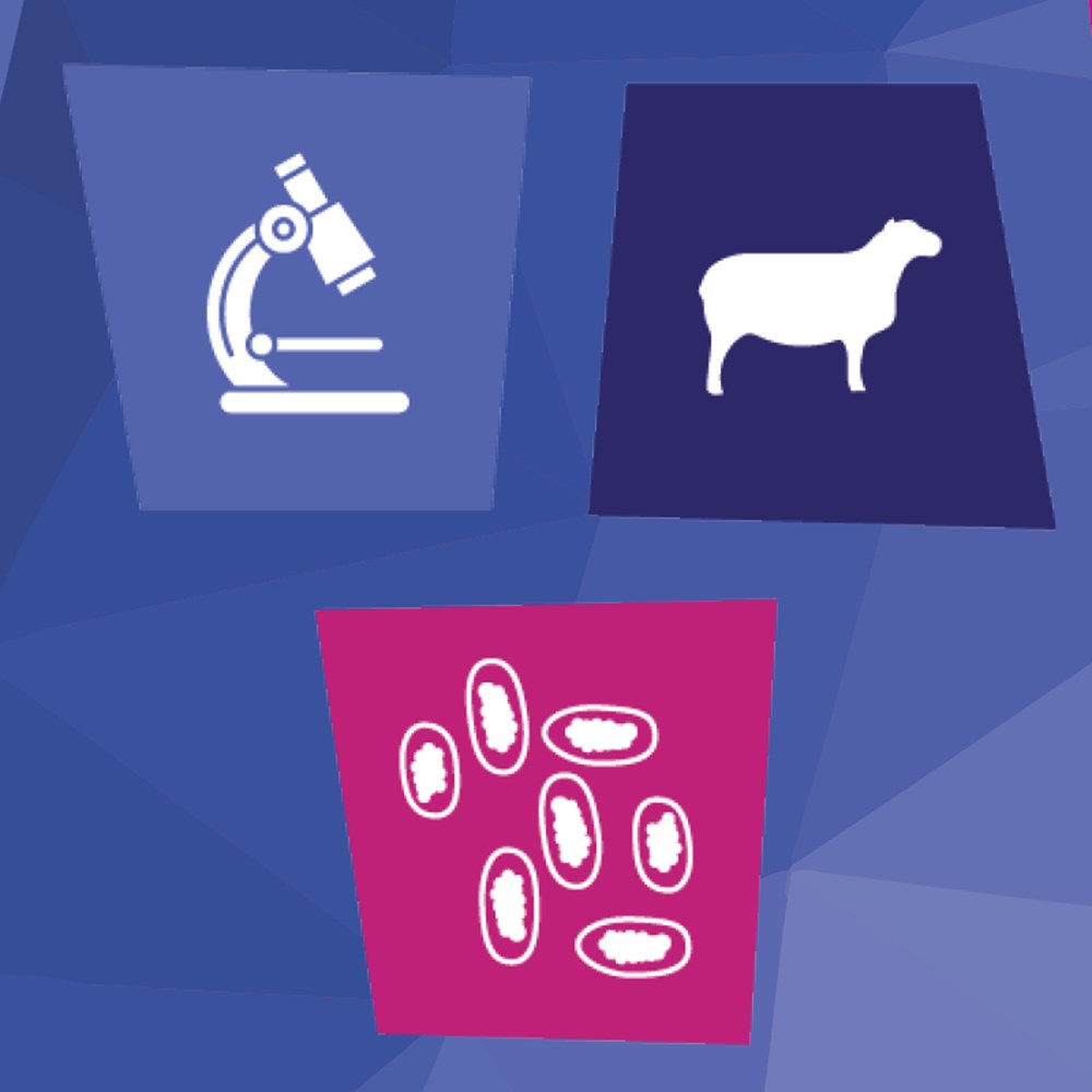 Image of Farm Worm Egg Count Kit (1 ENV)
