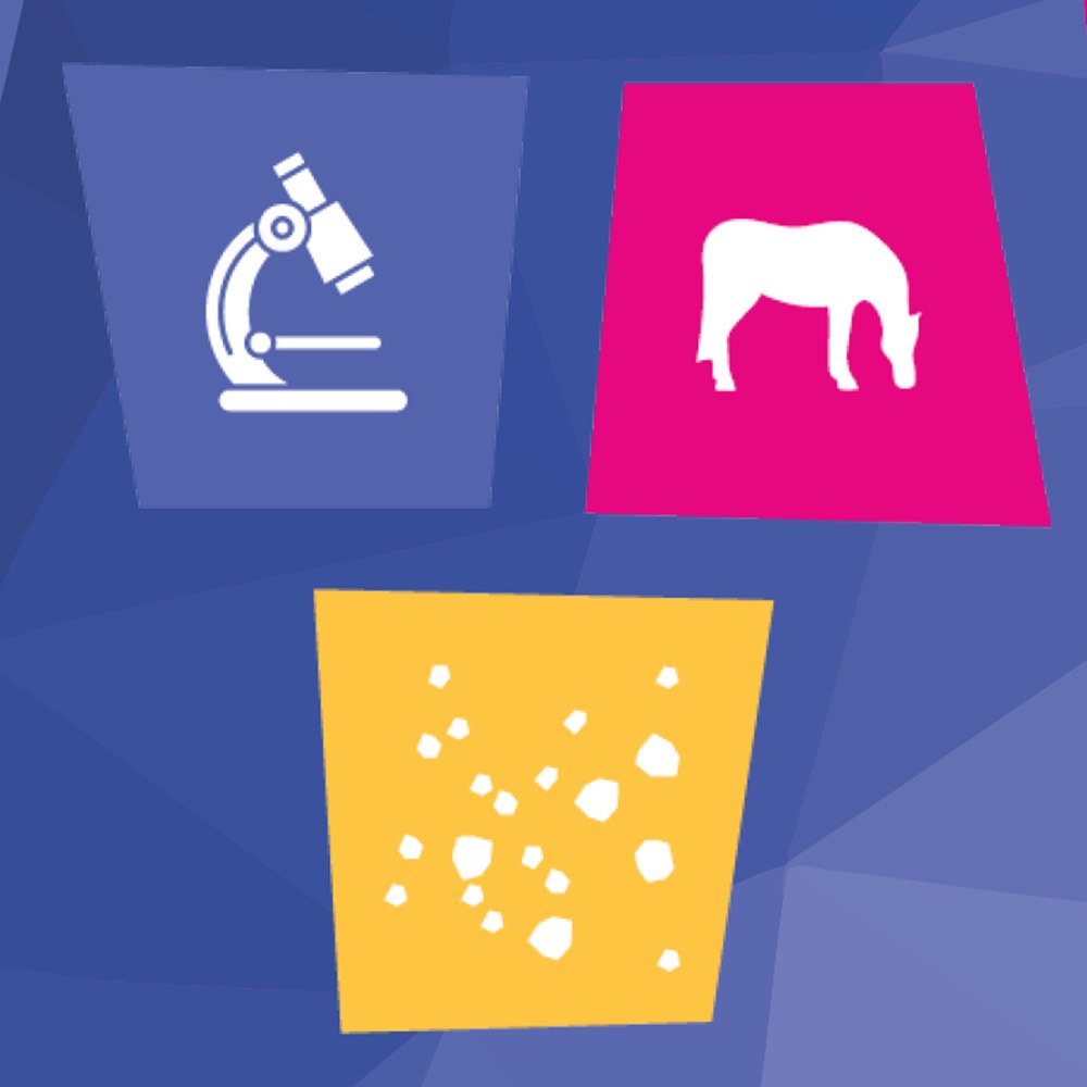 Image of Equine Faecal Sand Test