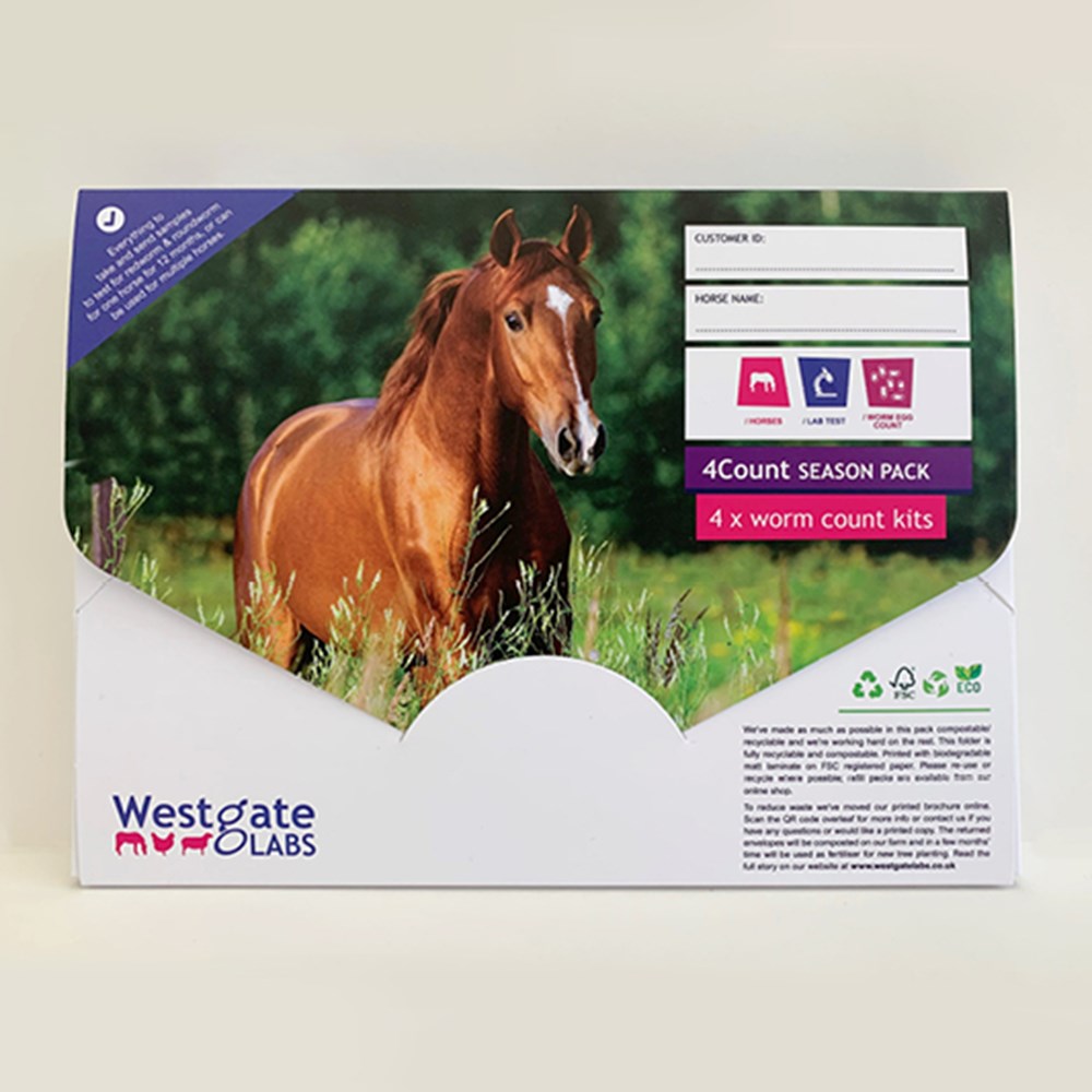 Image of Horse 4Count Pack with 1 x Return Envelope