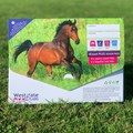 Image of Horse 4Count PLUS Season Pack