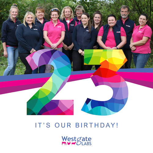 23rd Anniversary for Westgate Labs