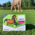 Image of Horse 4Count PLUS Season Pack