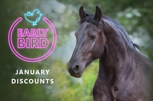 EARLYBIRD OFFERS FOR JANUARY 2023