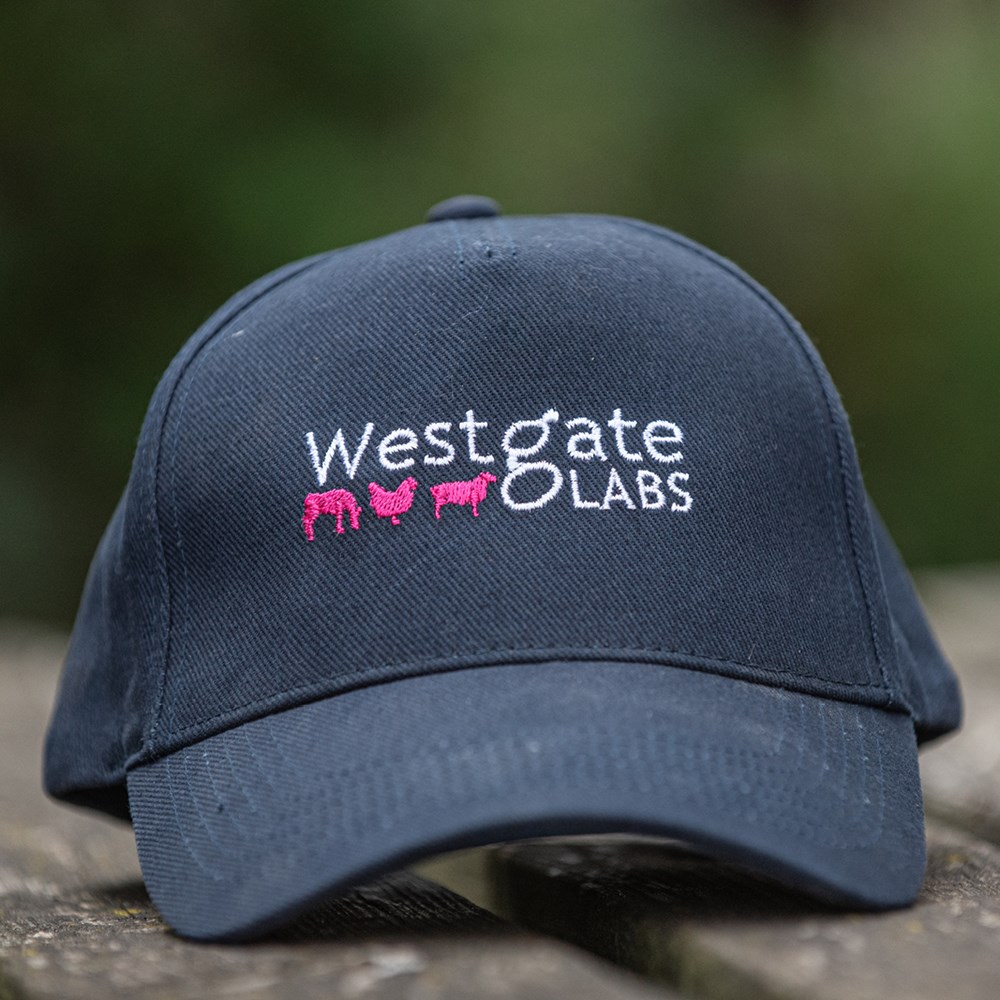 Image of Westgate Baseball Cap