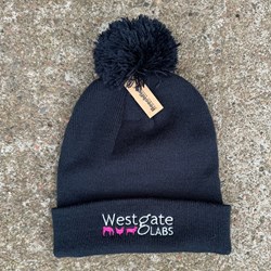 Image of Westgate Beanie Hat