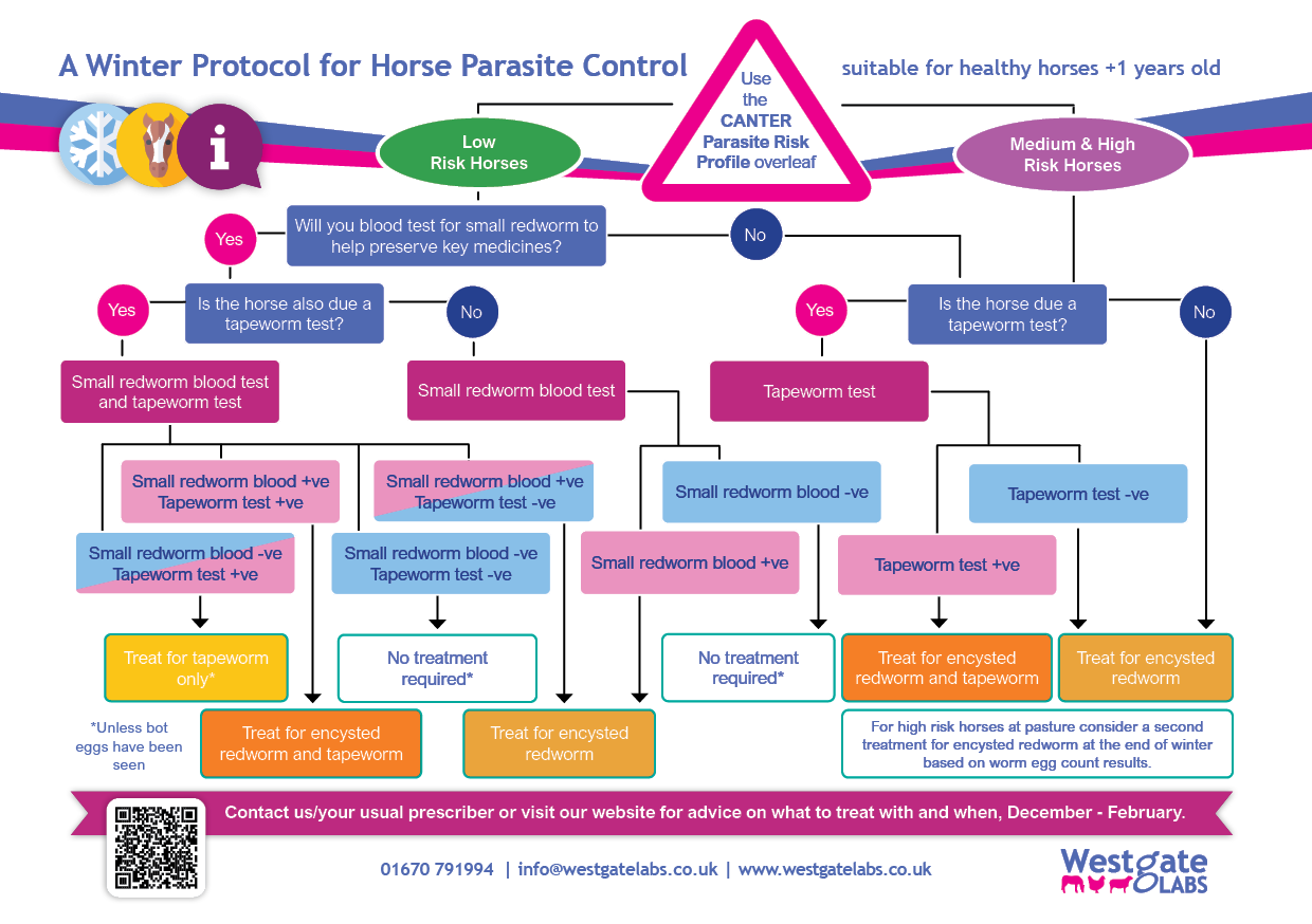 Winter Protocol Flow Chart