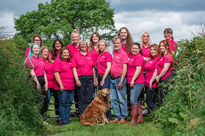 MEET THE TEAM