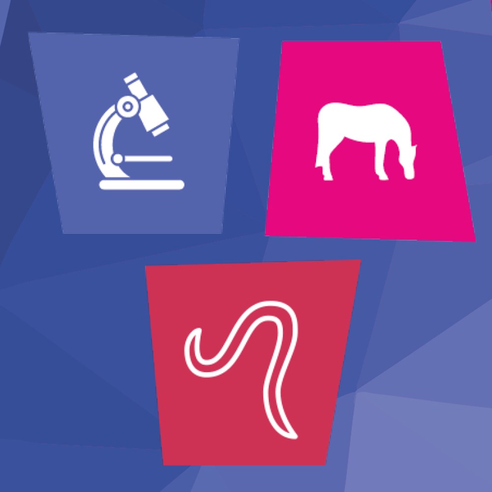 Image of Large Strongyle Larval Culture Test