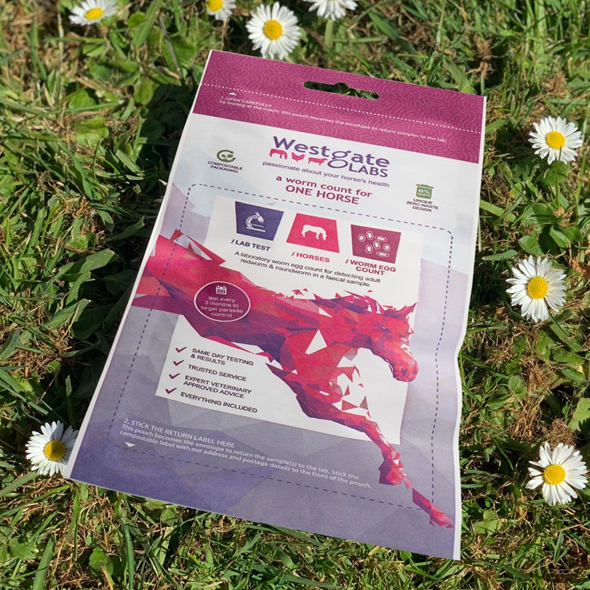 Image of Equine Pouch (Pack of 1)