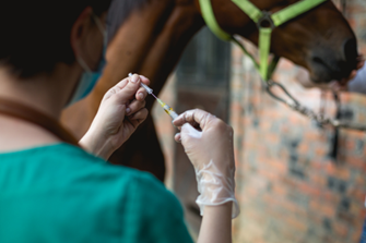 VMD adverse events reporting suspended