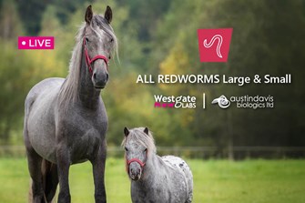 Join our expert led webinar: All Redworms Large & Small