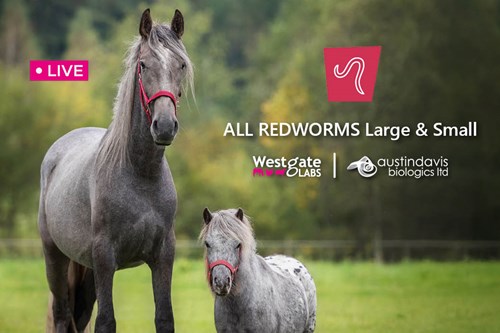 Join our expert led webinar: All Redworms, Large and Small