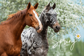 Spring Parasite Control 2026