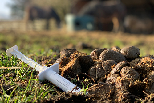 Worming chemicals can be as toxic in the environment as they are to the internal parasites they are designed to treat