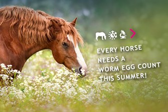 Summer Parasite Control 2026
