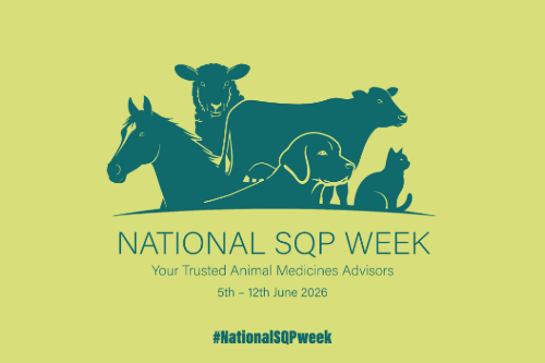First Ever National SQP Week