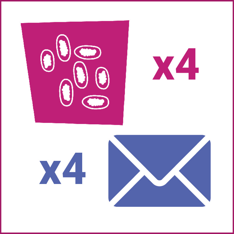 Image of Equine 4Count Season Pack 4  Envelopes