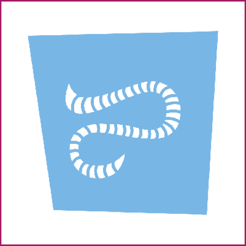 Image of EquiSal Test