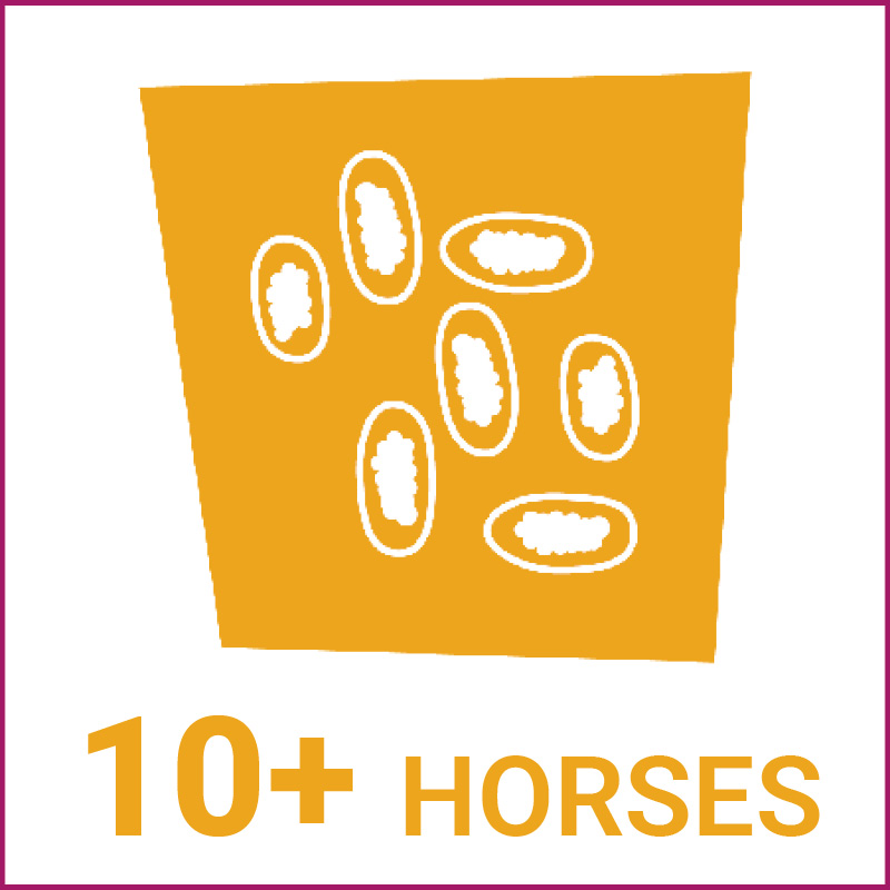 Image of Yard 10+ Equines 1 Envelope