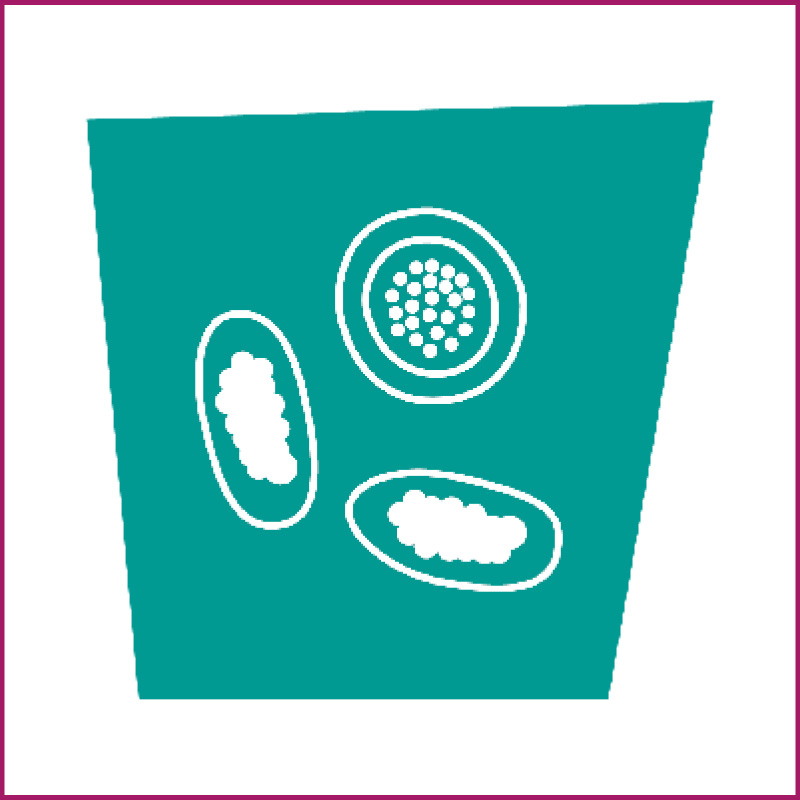 Image of Equine Worm Egg Count Reduction Test