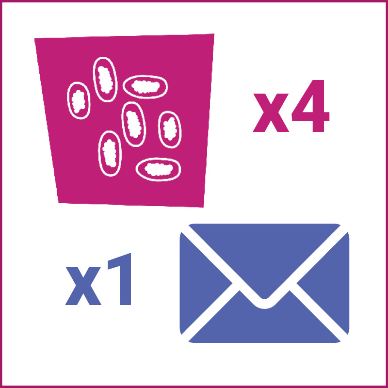Image of Equine 4Count Season Pack Refill with 1 x Return Envelope