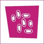 Worm egg count